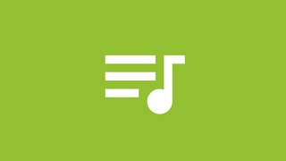SWR4 Icons Musikrecherche