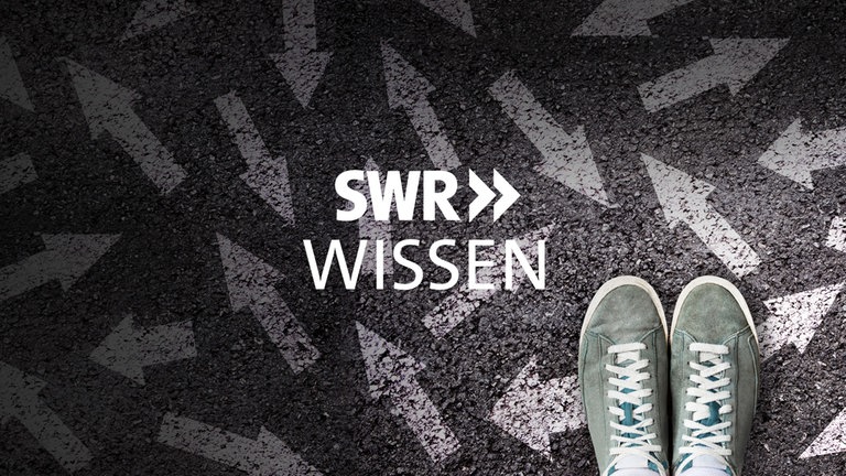 Logo "SWR Wissen"