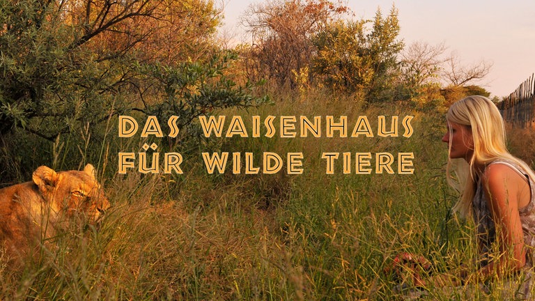 Logo „Das Waisenhaus für wilde Tiere“