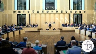 Der Bundesrat: Abgeordnete sitzen im Sitzungs·saal. Vorne das Redner·pult. Darüber die Wappen der Bundes·länder. Rechts das SWR Logo für Leichte Sprache.