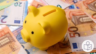50-Euro·scheine und 20-Euro·scheine liegen flach nebeneinander. Auf den Geld·scheinen steht ein gelbes Spar·schwein. Rechts das SWR Logo für Leichte Sprache.