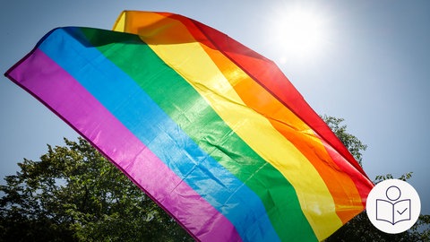 Eine Regenbogen·fahne weht bei einer Demonstration zum Christopher Street Day (CSD). In Ulm wird am Samstag die längste Regenbogenfahne von Deutschland gezeigt. Rechts das SWR Logo für Leichte Sprache.