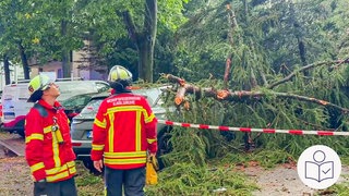 Autos stehen an der Straße. Daneben ist ein Baum umgestürzt. Vorne stehen 2 Männer von der Feuerwehr. In Karlsruhe hat es ein starkes Unwetter gegeben. Rechts das SWR Logo für Leichte Sprache.