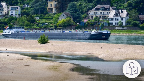 Ein Schiff fährt den Rhein entlang. Im Vordergrund sieht man viel Sand. Der Rhein hat wenig Wasser. Das Schiff ist nicht voll beladen. Im Hintergrund sind Häuser am Berg. Rechts das SWR Logo für Leichte Sprache.