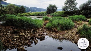 Die Donau bei Immendingen in Baden-Württemberg. Das Flussbett hat wenig Wasser. Im Flussbett sind Steine zu sehen. Rechts unten das SWR-Logo für Leichte Sprache.