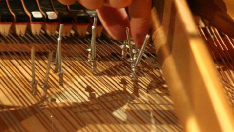 Flügelpräparation mit Nieten