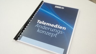 Telemedienänderungskonzept SWR Telemedien