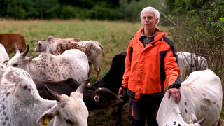 Jürgen Hoffmann kümmert sich leidenschaftlich um seine 70 Zwerg-Zebus. Er steht auf einer Wiese inmitten seiner Zebus, trägt eine orange Jacke und lacht in die Kamera. 