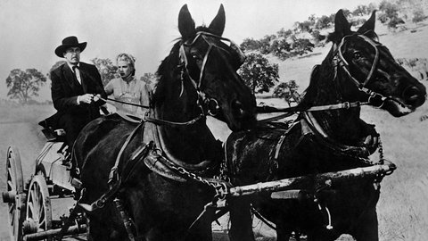 Eine Kutsche, auf der eine Braut sitzt. Dabei handelt es sich um ein Bild aus dem Film "High Noon" mit Grace Kelly und Gary Cooper