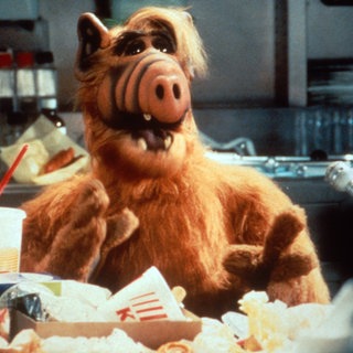 ALF aus der Kultserie aus den 1980-er Jahren