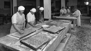 Lebkuchenherstellung in Großbäckerei Handwerk und Gewerbe: Bäcker. - Herstellung von Lebkuchen in einer Großbäckerei: