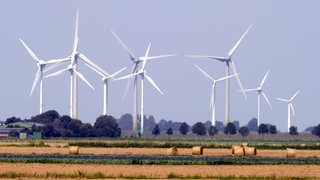 Windkraftanlagen stehen am Freitag (17.08.2012) im Kaiser-Wilhelm-Koog. Deutschlands erster Windpark feiert sein 25-jähriges Bestehen. Am 24. August 1987 ging der Windenergiepark Westküste ans Netz.
