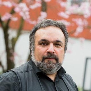 Mehrdad Zaeri, Illustrator und Künstler