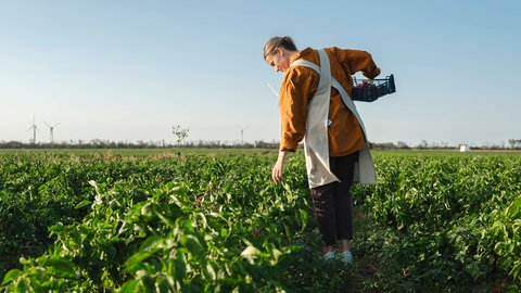 Landwirtin steht auf dem Feld und arbeitet