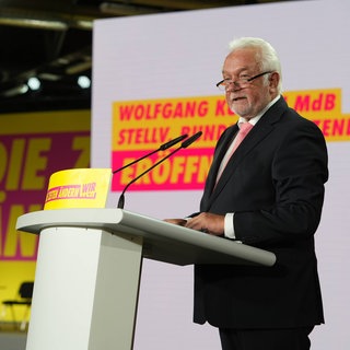 Wolfgang Kubicki, FDP