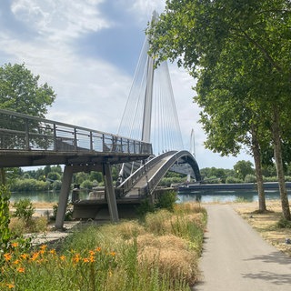 Die Passerelle des Deux Rives verbindet das Elsass und Baden.
