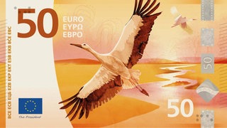 Neue Euro-Banknoten-Vorschläge