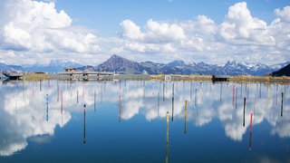 Kunstinstallation von Lois Hechenblaikner: Rund 280 Skier ragen aus dem künstlichen Speichersee am Hartkaiser 