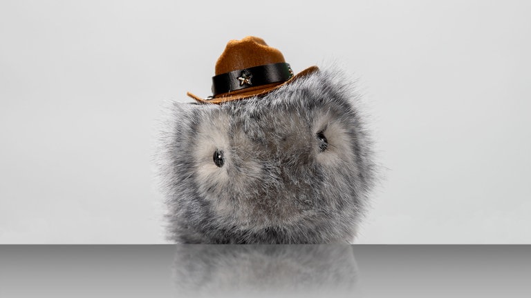 Der Hüter der Gerechtigkeit, Sheriff Joshi