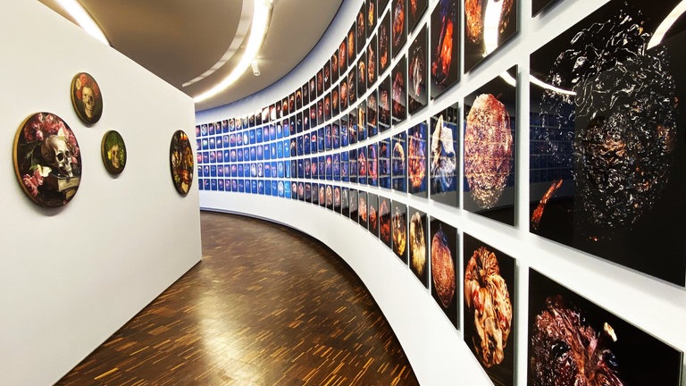 Ausstellung VANITAS. DIE SCHÖNHEIT DES VERGÄNGLICHEN