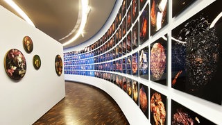 "ArsCubis, Metamorphosis". Achim Großmann und  Silvia Eisele im Museum LA8.