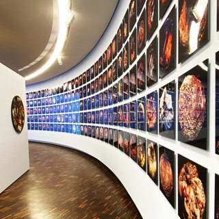 "ArsCubis, Metamorphosis". Achim Großmann und  Silvia Eisele im Museum LA8.