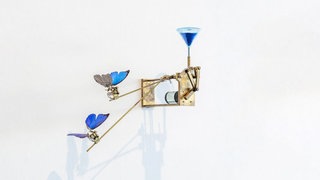 "Die Schmetterlingsschaukel" (1996) Kunst von Rebecca Horn. Aus der Online-Sammlung der Staatlichen Museen zu Berlin.