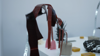 Kunstinstallation "Food Web", Wilhelm-Hack-Museum, Ludwigshafen
