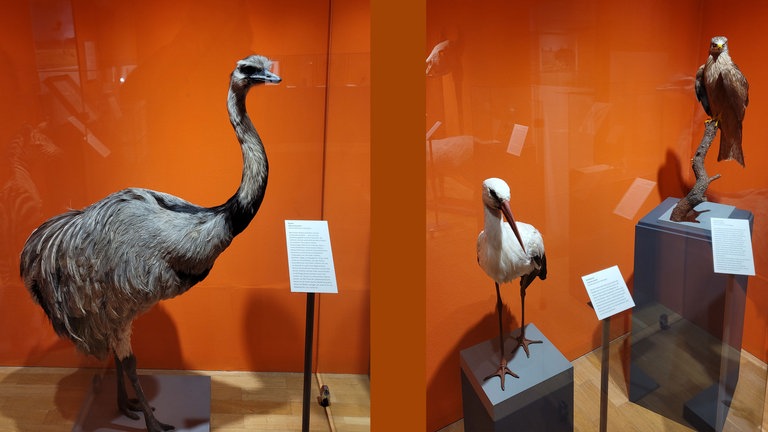 Ausstellungsansicht, Die Macht des Feuers