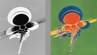 Reiner Michelfelder - ars dynografia. Experimentelle Fotografie der 1960er und 1970er Jahre