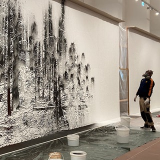 Ausstellung von Nicolas Daubanes