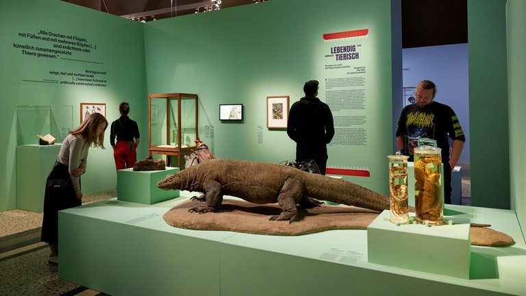 Blick in die Ausstellung „Drachen — Mythos und Wirklichkeit“