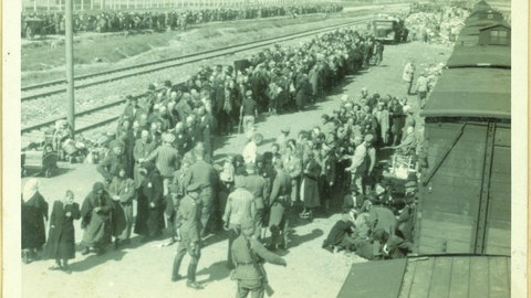 Fotografie aus „Ein Album aus Auschwitz. Die fotografische Inszenierung des Verbrechens“