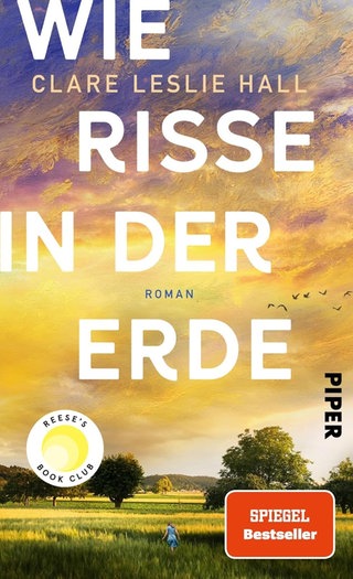 Buchcover "Wie Risse in der Erde"