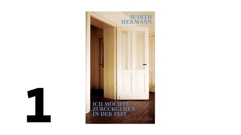 Cover des Buches Judith Hermann Ich möchte zurückgehen in der Zeit