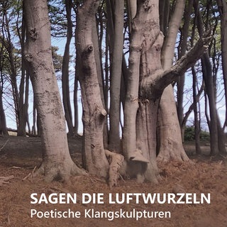 Cover, Sagen die Luftwurzeln, Jürgen Nendza und Matthias Kratzenstein 