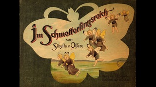 Buchcover "Im Schmmeteterlingsreich" von Sibylle von Olfers.