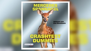Mercedes Spannagel: Crashtest Dummies. Gelesen Eva Meckbach. Random House Audio 2026