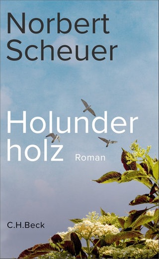 Cover des Buches „Holunderholz“ von Norbert Scheuer 