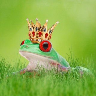 Frosch mit Krone im Gras