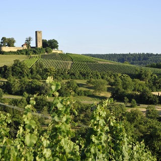 Sulzfeld