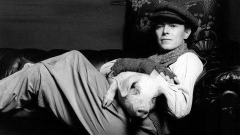 David Bowie