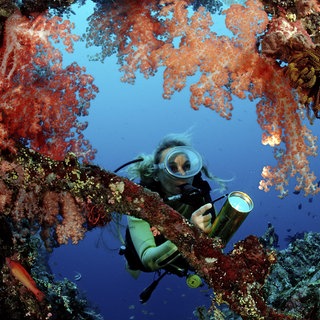 Taucher untersucht Schiffswrack Liberty, Bali