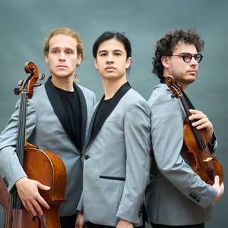 Trio Concept