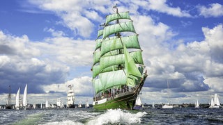 Historische Segelschiffe in voller Fahrt