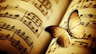 Illustration: Ein Schmetterling ruht auf alten Noten.