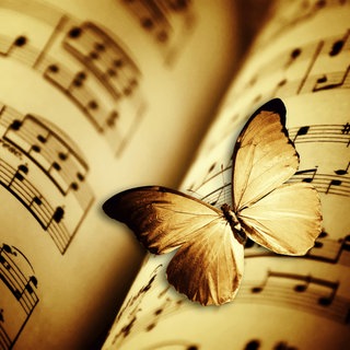 Illustration: Ein Schmetterling ruht auf alten Noten.