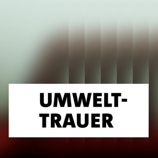 Wort der Woche: Umwelttrauer