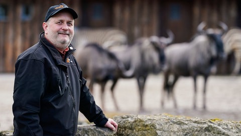 Jens-Ove Heckel, Direktor des Zoos Landau | Lustige Angewohnheiten: Können Tiere auch Marotten haben?