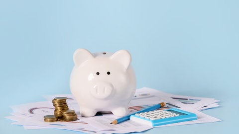 Sparschwein mit Geld und Unterlagen